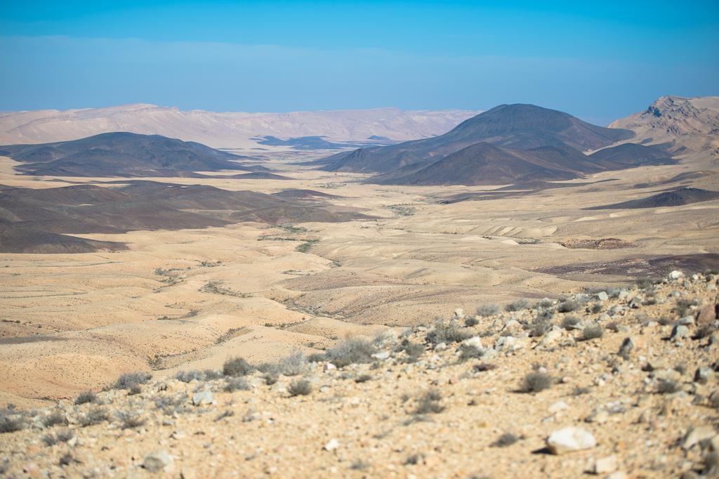 Vila Alpaca Farm - חוות האלפקות Micpe Ramon Exteriér fotografie