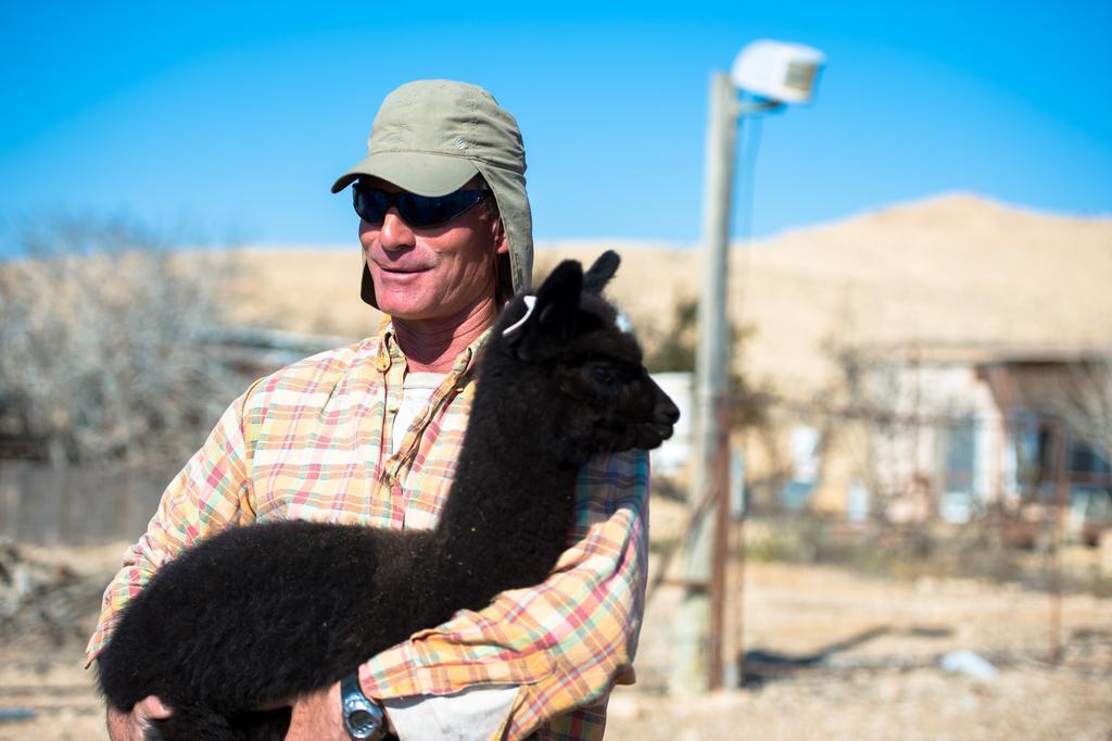 Vila Alpaca Farm - חוות האלפקות Micpe Ramon Exteriér fotografie