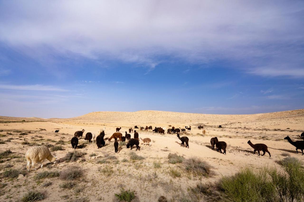 Vila Alpaca Farm - חוות האלפקות Micpe Ramon Exteriér fotografie