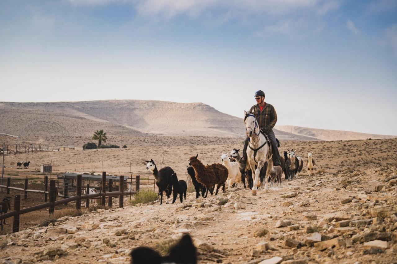 Vila Alpaca Farm - חוות האלפקות Micpe Ramon Exteriér fotografie