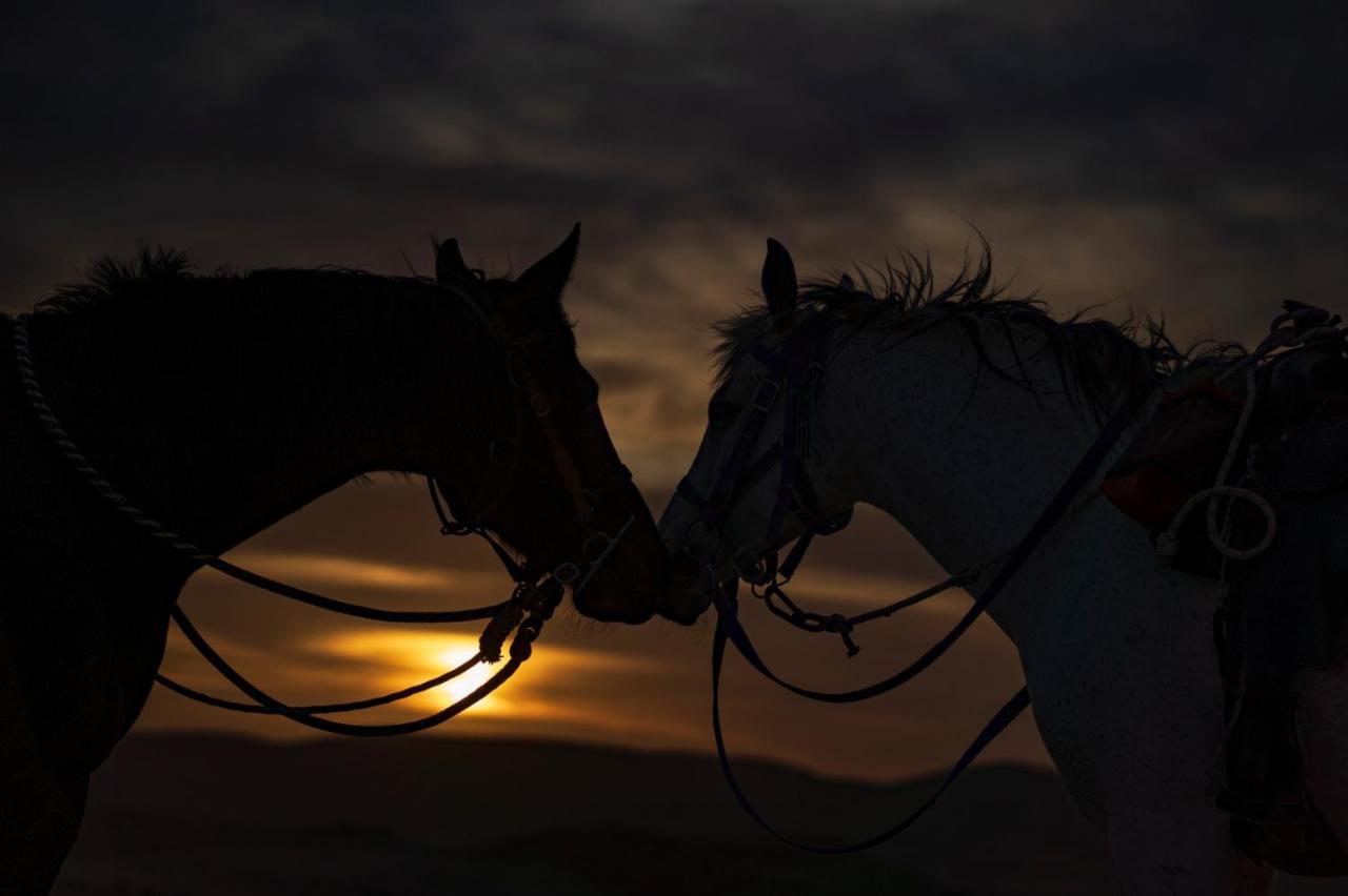 Vila Alpaca Farm - חוות האלפקות Micpe Ramon Exteriér fotografie