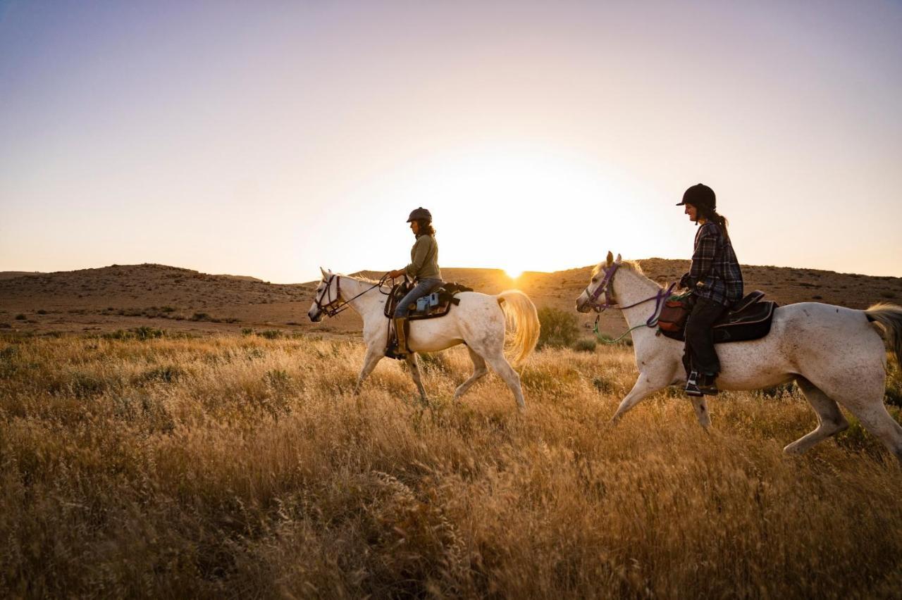 Vila Alpaca Farm - חוות האלפקות Micpe Ramon Exteriér fotografie