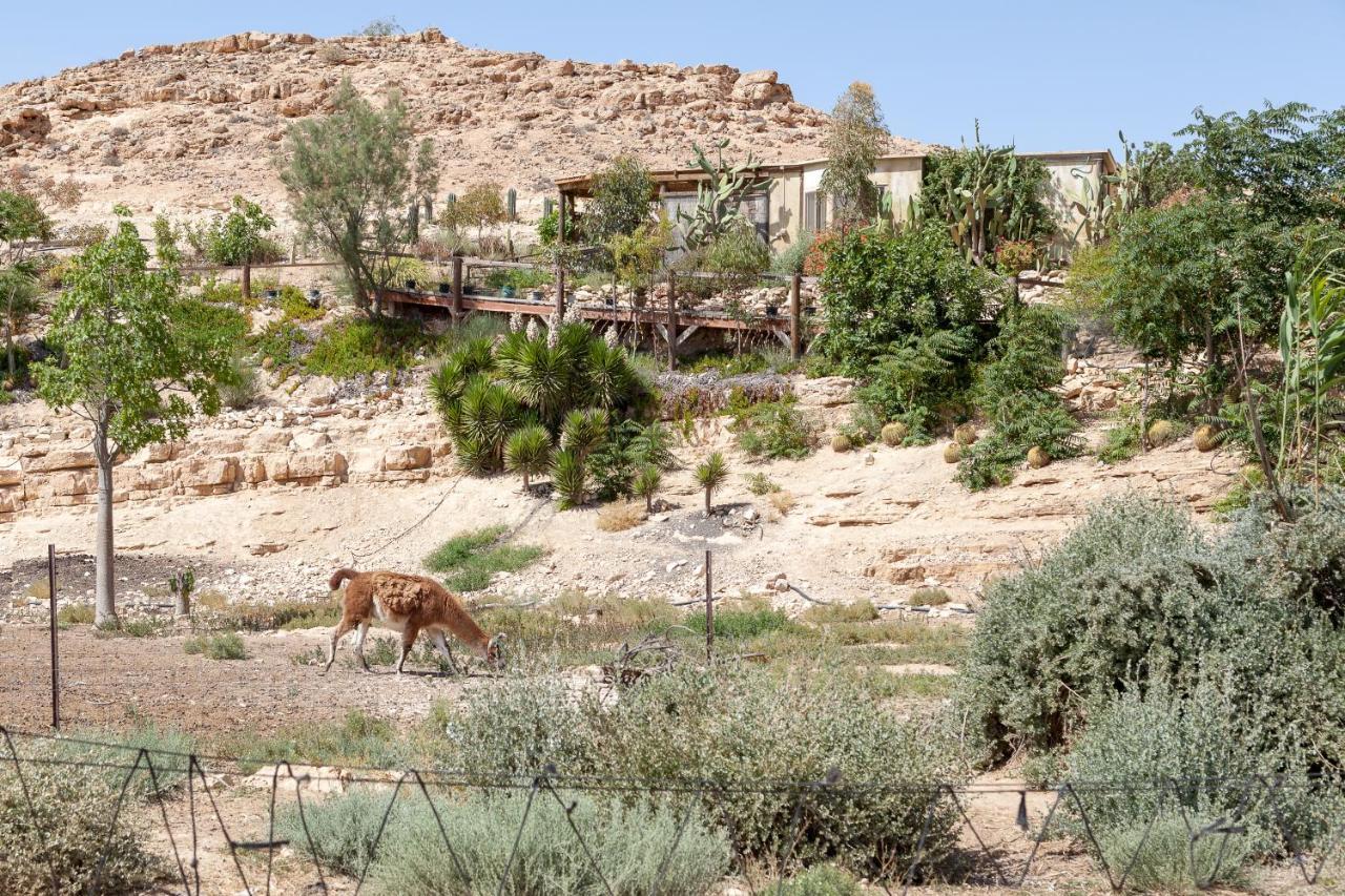 Vila Alpaca Farm - חוות האלפקות Micpe Ramon Exteriér fotografie