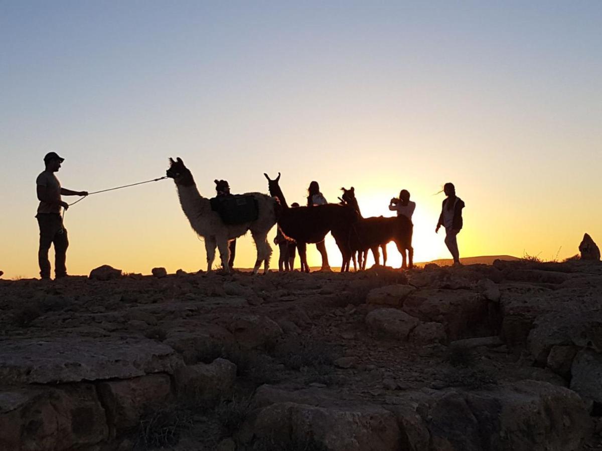 Vila Alpaca Farm - חוות האלפקות Micpe Ramon Exteriér fotografie