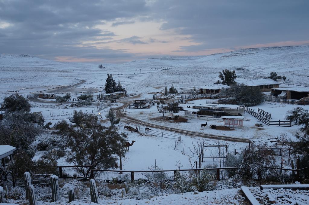 Vila Alpaca Farm - חוות האלפקות Micpe Ramon Exteriér fotografie