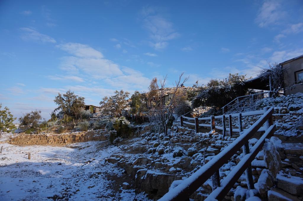 Vila Alpaca Farm - חוות האלפקות Micpe Ramon Exteriér fotografie