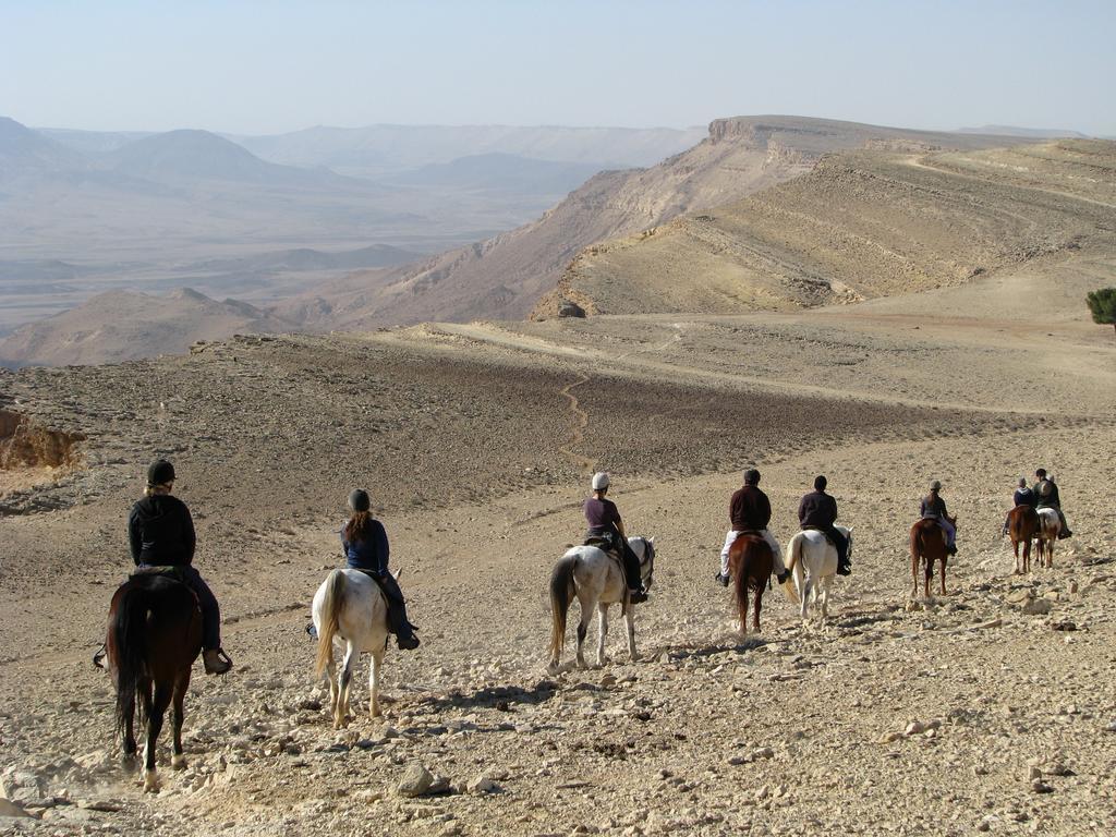 Vila Alpaca Farm - חוות האלפקות Micpe Ramon Exteriér fotografie