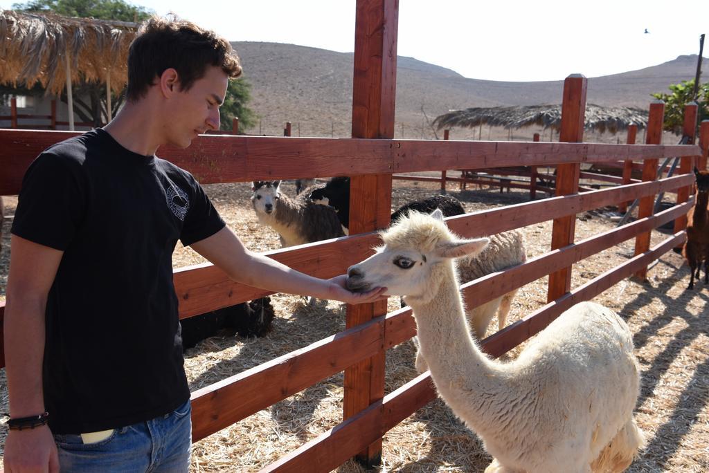 Vila Alpaca Farm - חוות האלפקות Micpe Ramon Exteriér fotografie