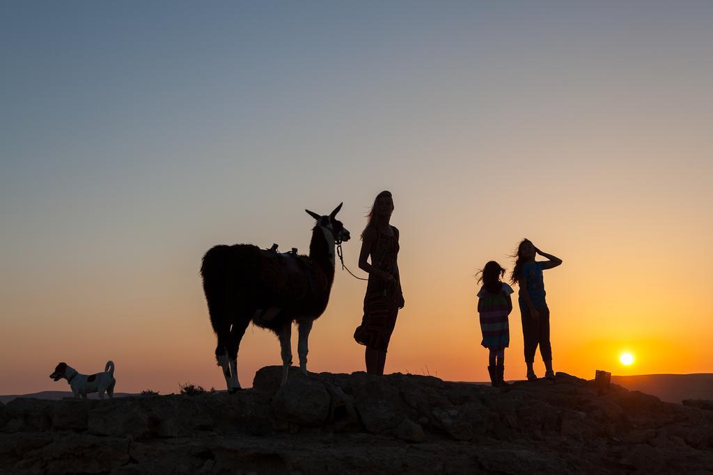 Vila Alpaca Farm - חוות האלפקות Micpe Ramon Exteriér fotografie