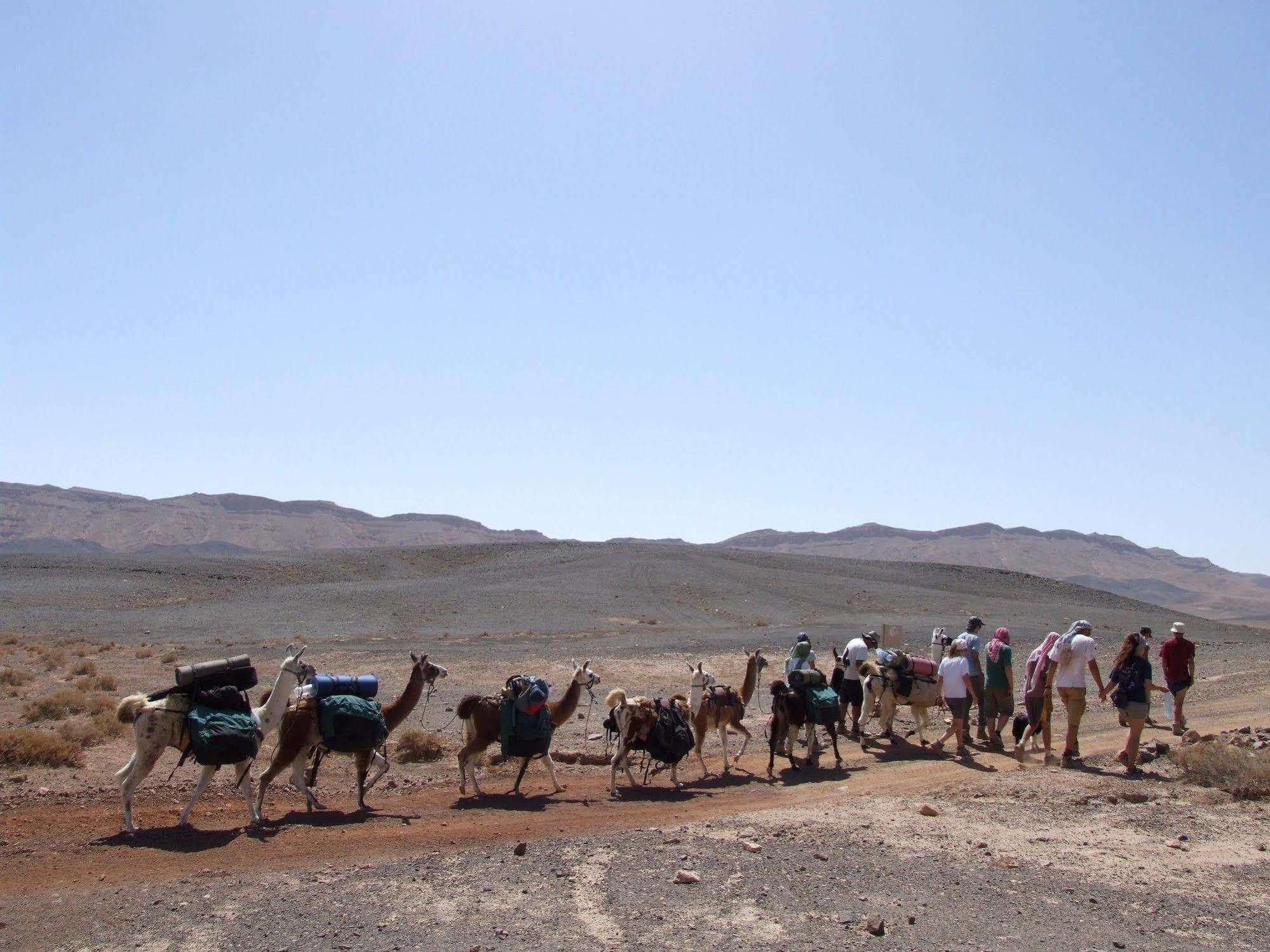 Vila Alpaca Farm - חוות האלפקות Micpe Ramon Exteriér fotografie